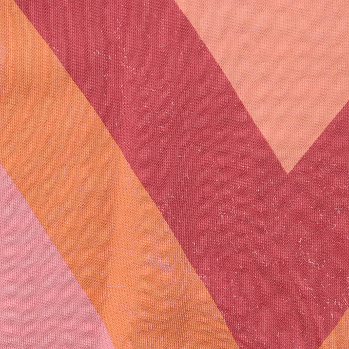 piupiuchic<br>ピウピウチック<br>プリントスウェットシャツ<br>AW23.FLP2302