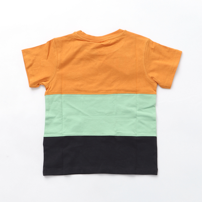 Softgallery<br>ソフトギャラリー<br>SG1903 カラーブロックTEE