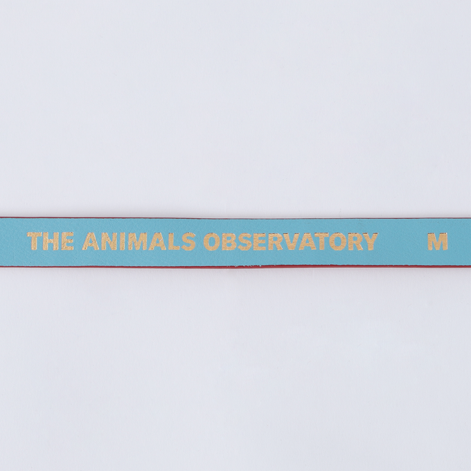 The Animals Observatory<br>ジアニマルズオブザーバトリー<br>2トーンベルトF24116_038_FZ