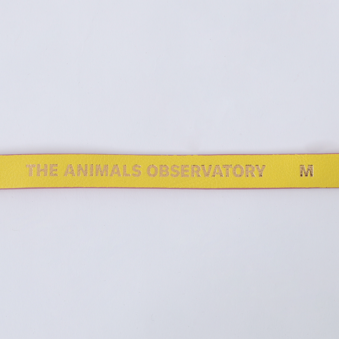 The Animals Observatory<br>ジアニマルズオブザーバトリー<br>2トーンベルトF24116_186_FZ