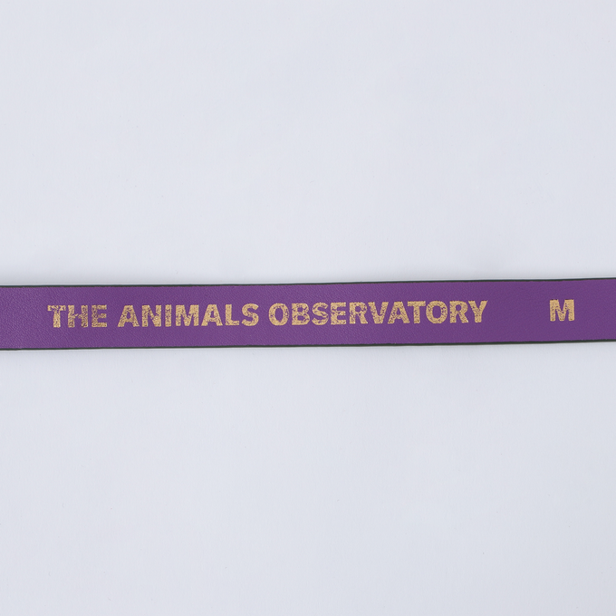 The Animals Observatory<br>ジアニマルズオブザーバトリー<br>2トーンベルトF24116_188_FZ