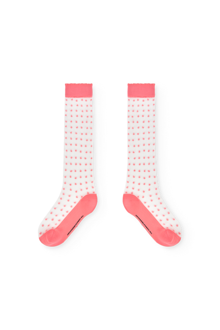 The Animals Observatory<br>ジアニマルズオブザーバトリー<br>HEN KID SOCKS <br>S26079_045_ZZ